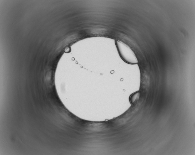 X0000114230428200911061531