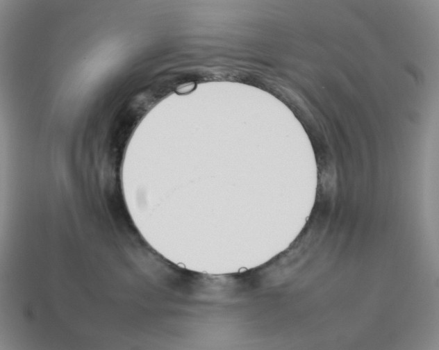 X0000114230429200911061531