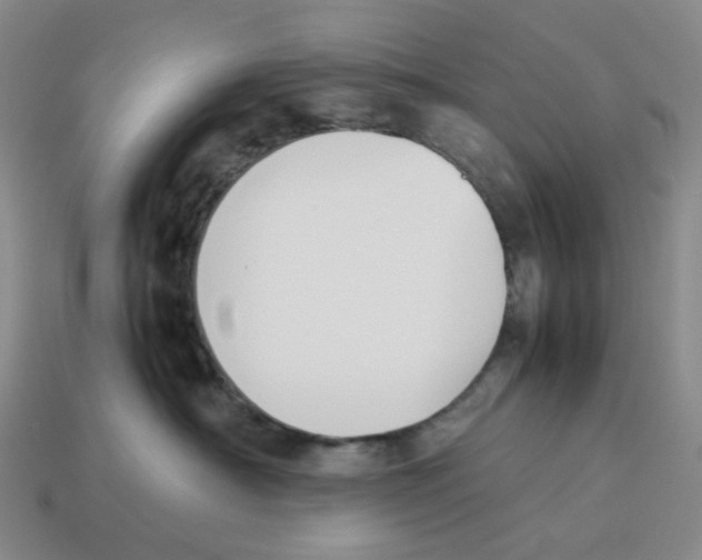 X0000114230430200911061531