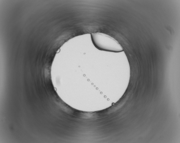 X0000114230432200911061531