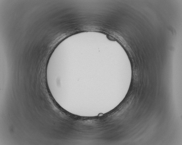 X0000114230433200911061531