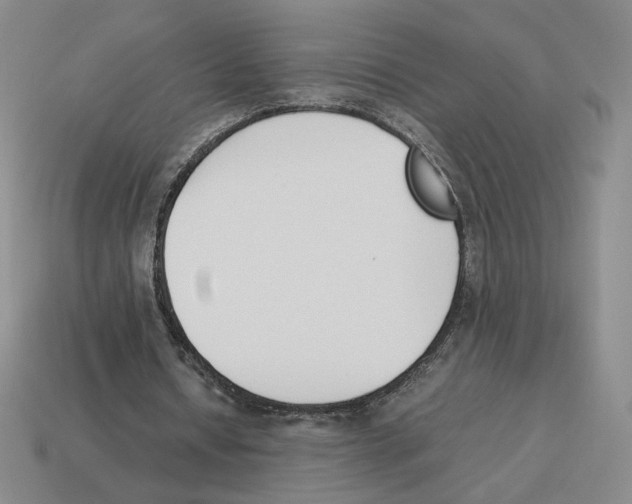 X0000114230434200911061531