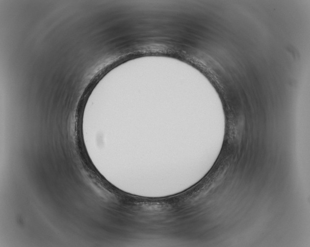 X0000114230439200911061531