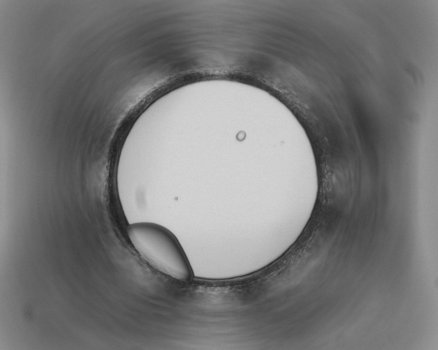 X0000114230440200911061531