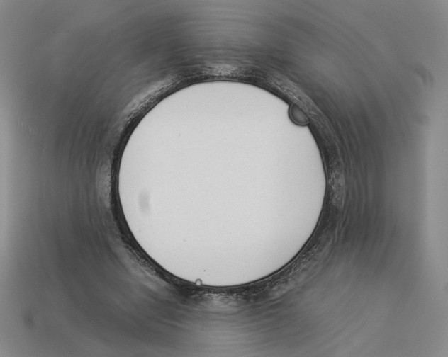 X0000114230442200911061531
