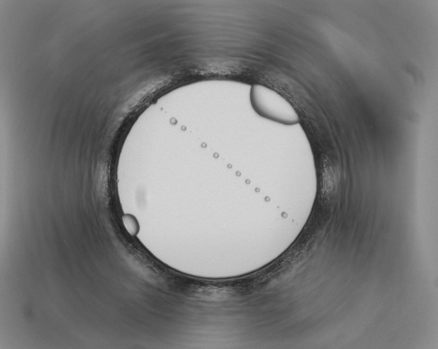 X0000114230444200911061531