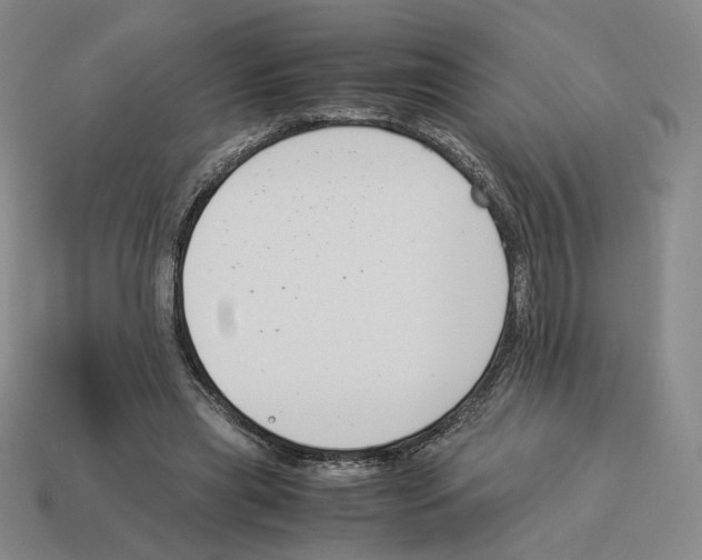 X0000114230445200911061531