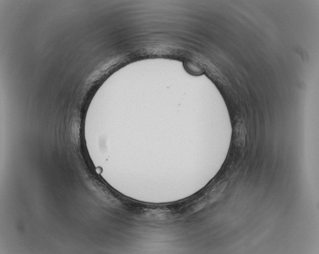 X0000114230446200911061531
