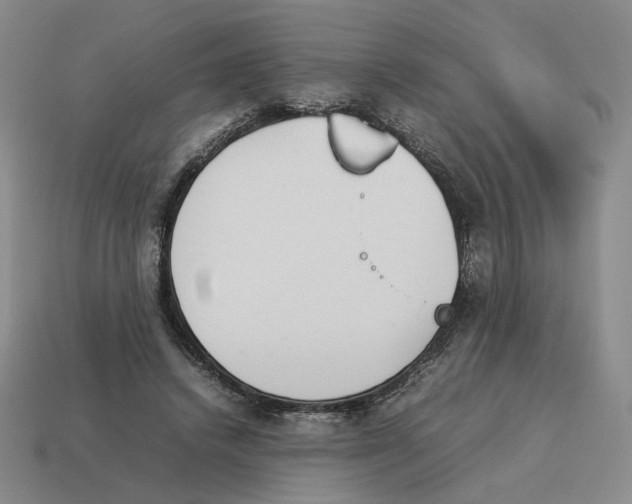 X0000114230448200911061531