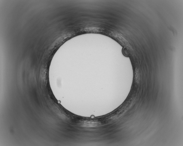 X0000114230449200911061531