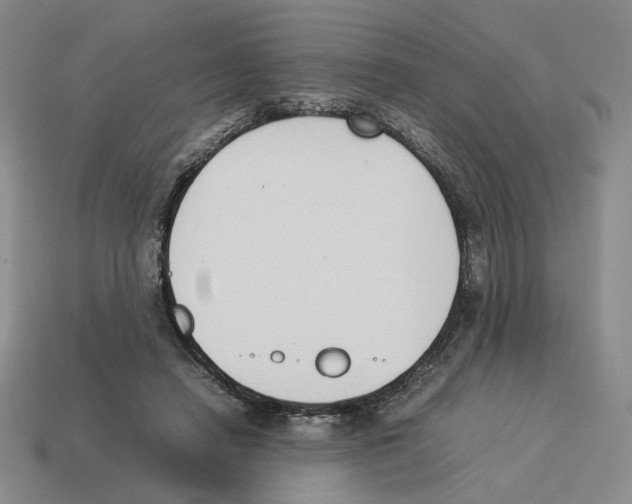 X0000114230450200911061531