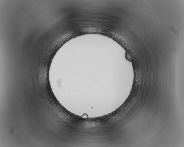 X0000114230453200911061531