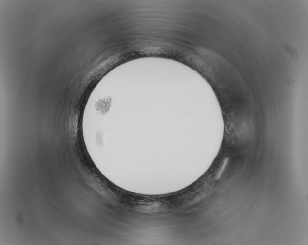 X0000114230454200911061531