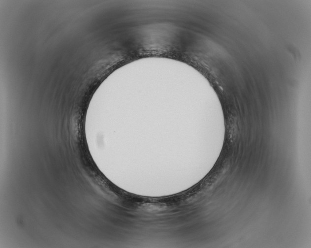 X0000114230455200911061531