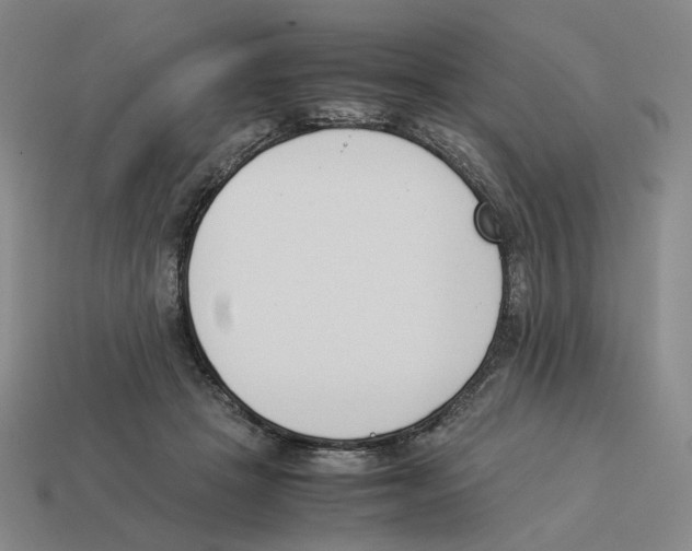 X0000114230457200911061531