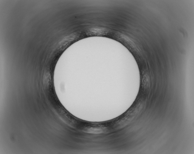 X0000114230459200911061531