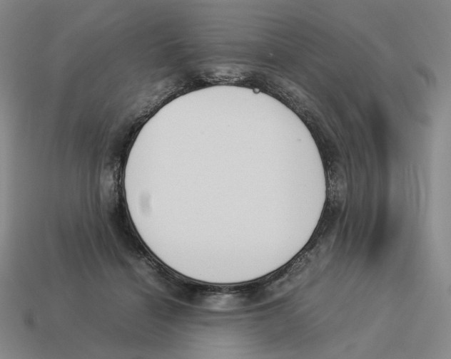 X0000114230460200911061531
