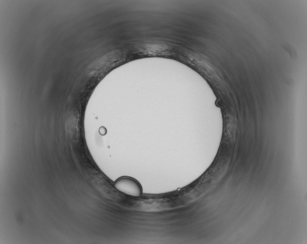 X0000114230461200911061531