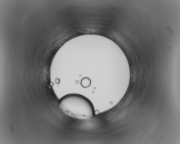 X0000114230467200911061531