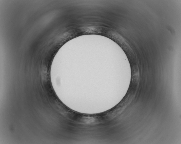 X0000114230469200911061531