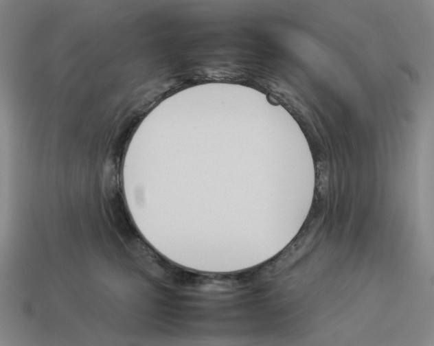 X0000114230471200911061531