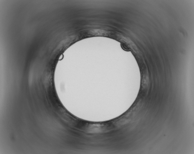 X0000114230473200911061531