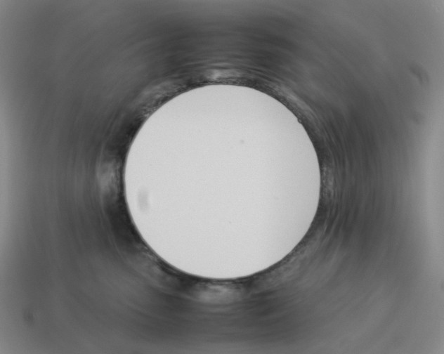 X0000114230475200911061531