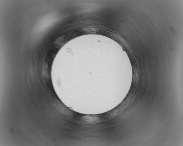 X0000114230477200911061531