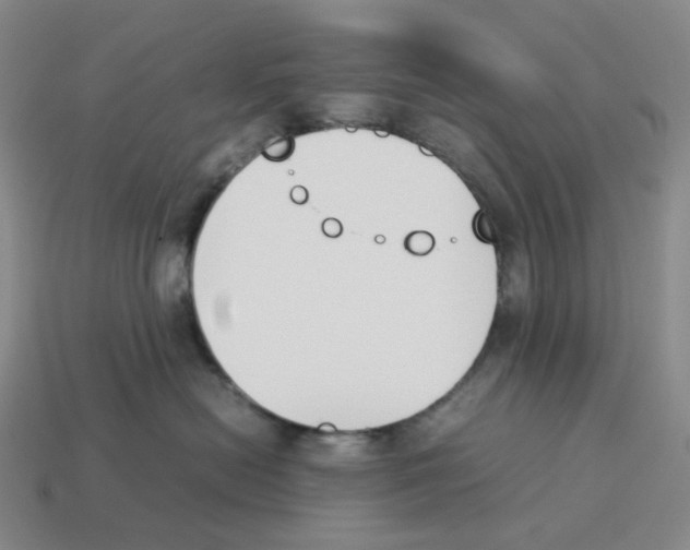 X0000114230478200911061531