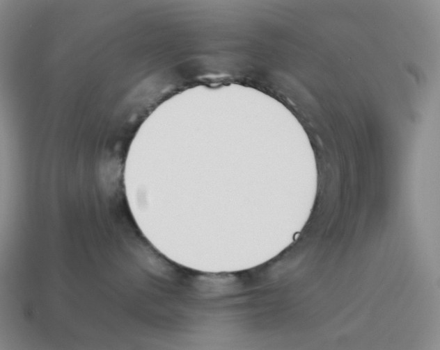 X0000114230480200911061531
