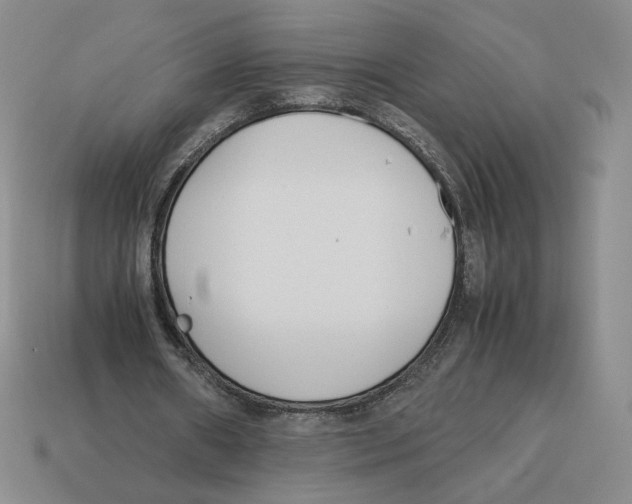 X0000114230482200911061531