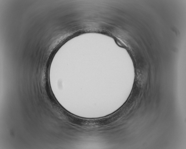 X0000114230487200911061531