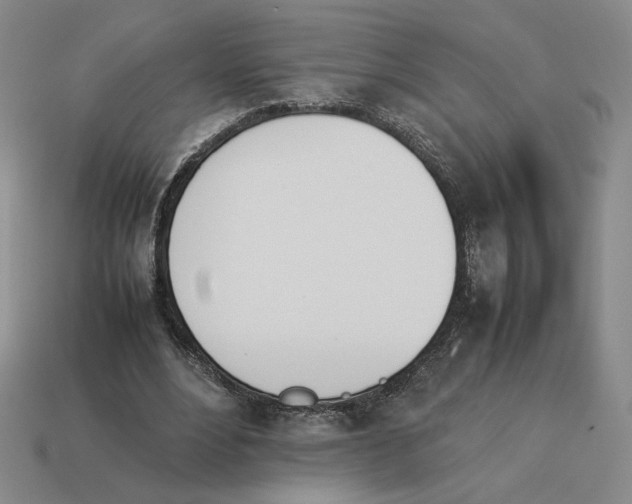 X0000114230488200911061531