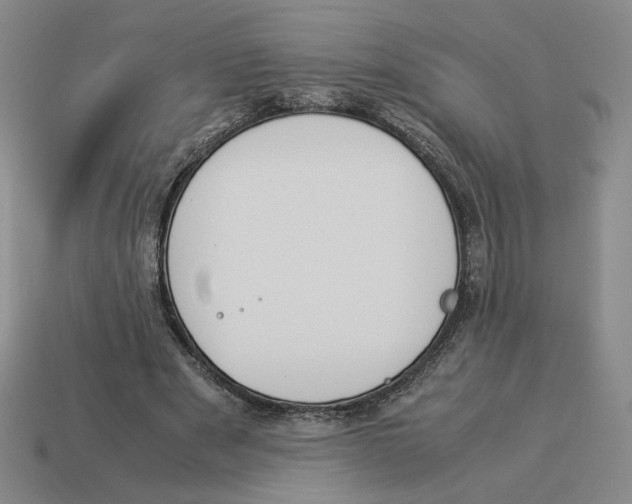 X0000114230489200911061531