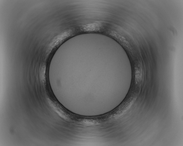 X0000114230490200911061531