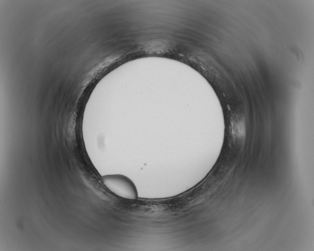 X0000114230492200911061531