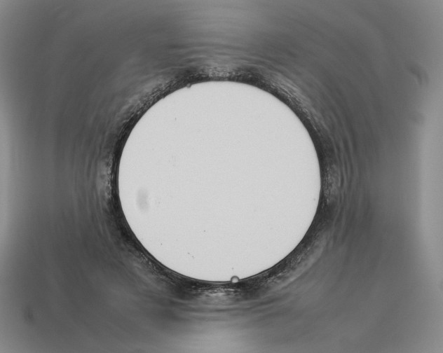 X0000114230497200911061531