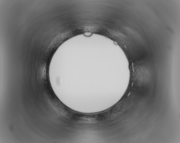 X0000114230502200911061530