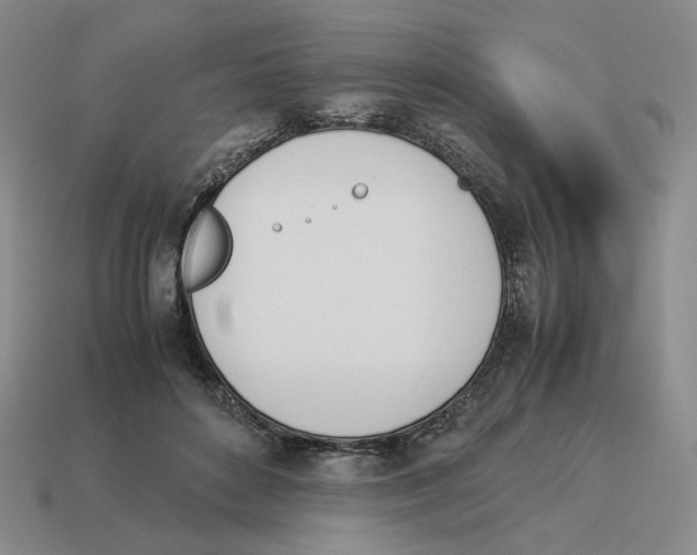 X0000114230504200911061530