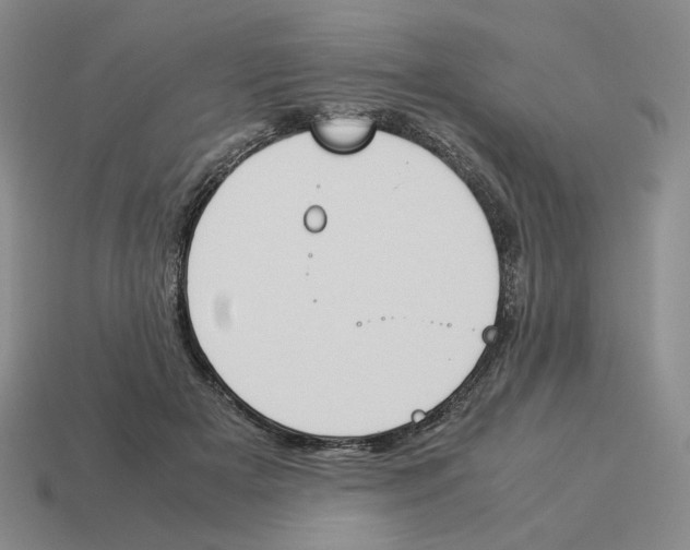 X0000114230505200911061530