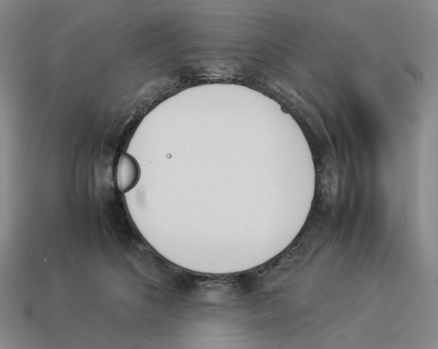 X0000114230516200911061530