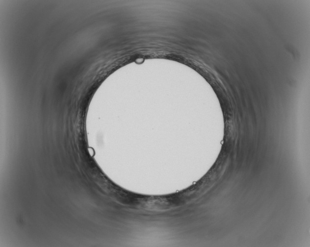 X0000114230517200911061530