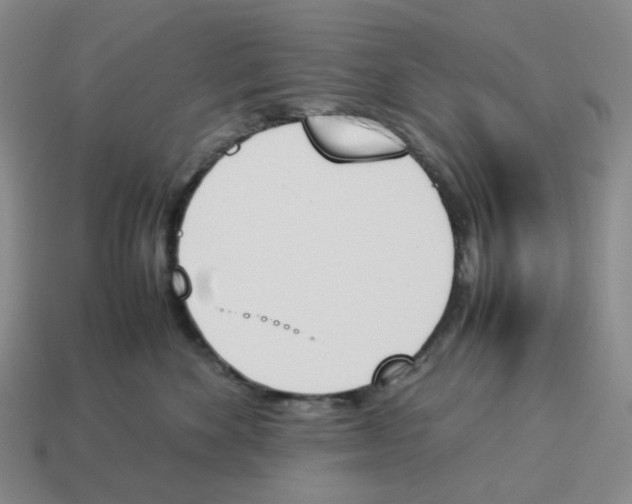 X0000114230524200911061530