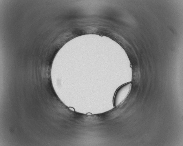X0000114230525200911061530
