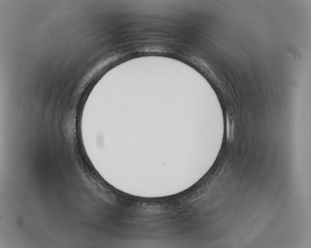 X0000114230531200911061530