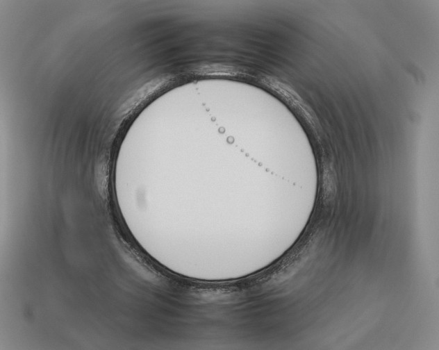 X0000114230533200911061530