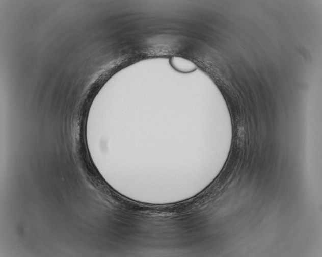X0000114230539200911061530