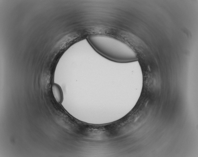 X0000114230548200911061530