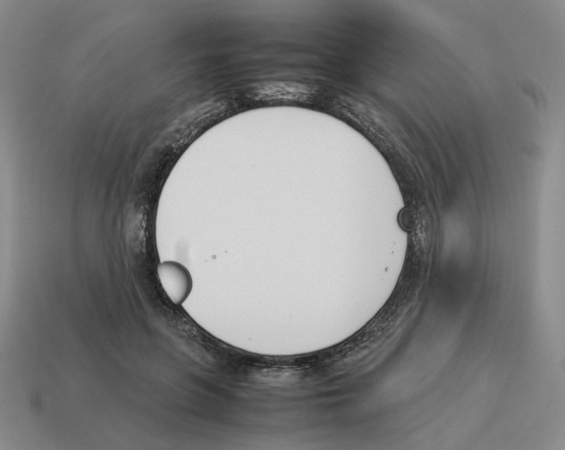 X0000114230551200911061530