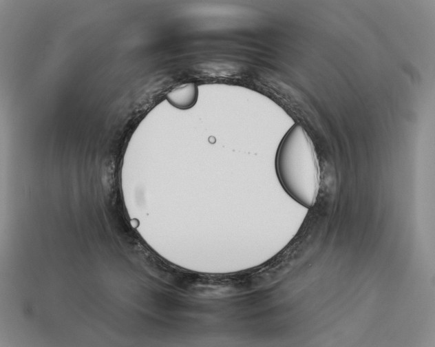 X0000114230559200911061530